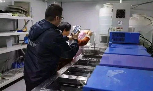 深圳環保消防嚴查風暴下，一家工廠的關閉與反思