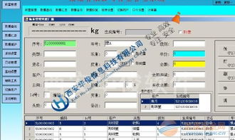 肉聯(lián)廠稱(chēng)重軟件 基礎(chǔ)軟件服務(wù)的核心價(jià)值與實(shí)施要點(diǎn)